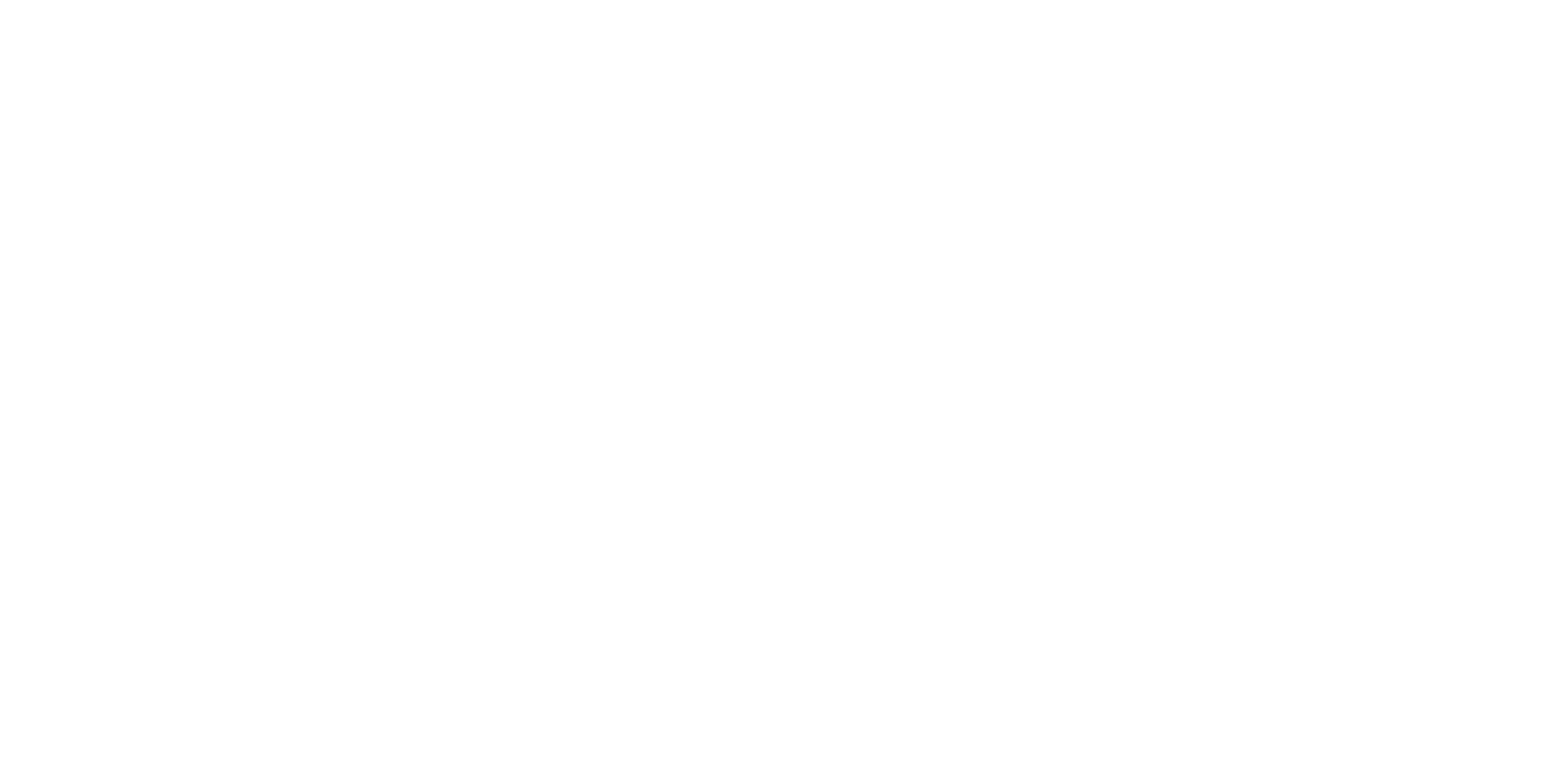 Startup Village
